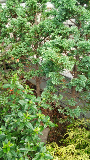 c0064678_18105731.jpg