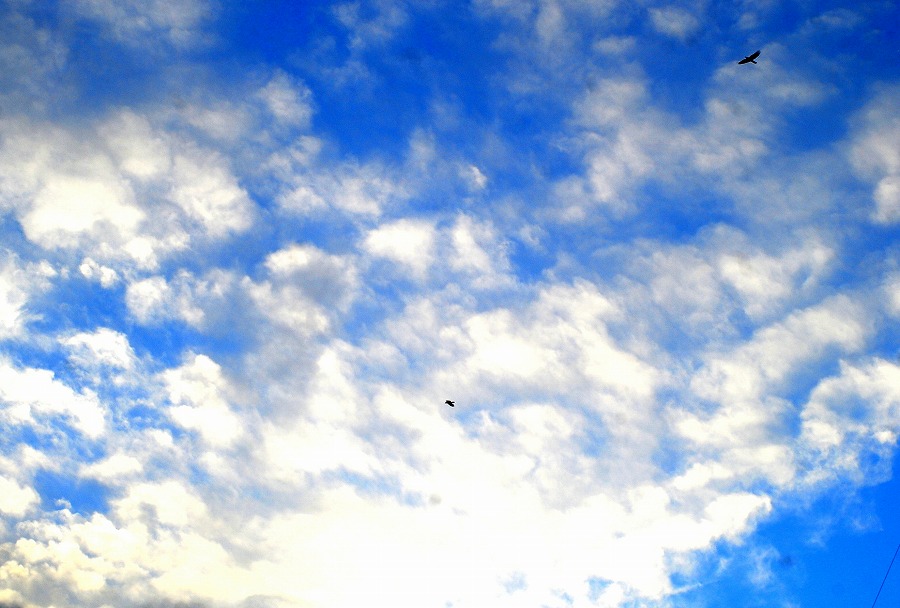 c0187781_01160104.jpg