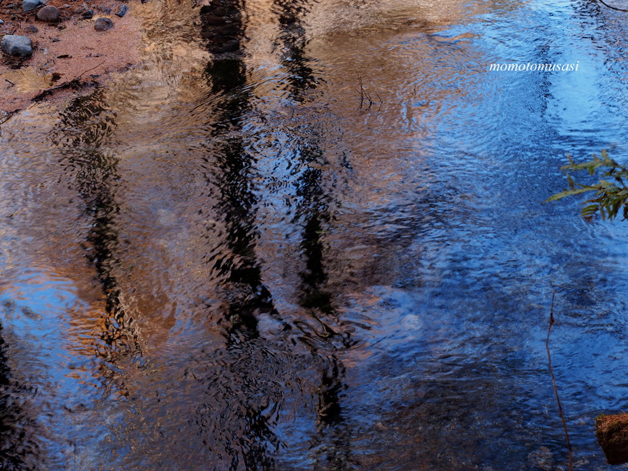 e0243382_8164194.jpg