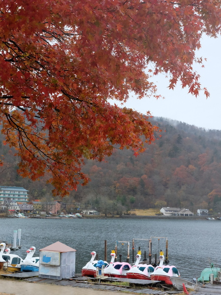 c0013687_1740193.jpg