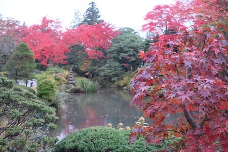 秋の日光(5)逍遥園_c0013687_21513732.jpg