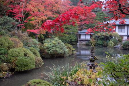 秋の日光(5)逍遥園_c0013687_21515543.jpg