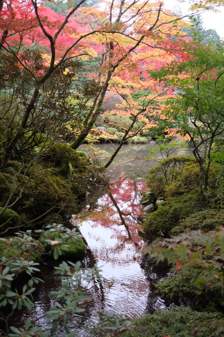 秋の日光(5)逍遥園_c0013687_21515779.jpg