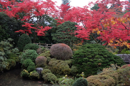 秋の日光(5)逍遥園_c0013687_2151596.jpg