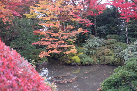 秋の日光(5)逍遥園_c0013687_215258.jpg