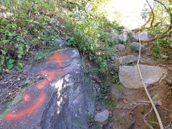 d0182188_17293347.jpg