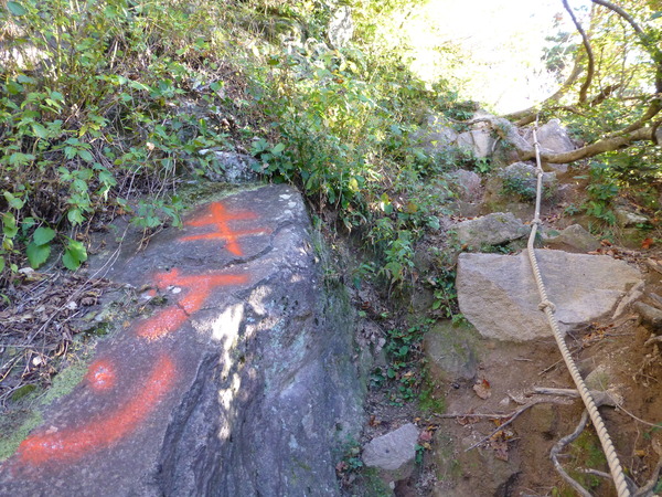 登山：浄法寺山―丈競山20141030_d0182188_17293347.jpg