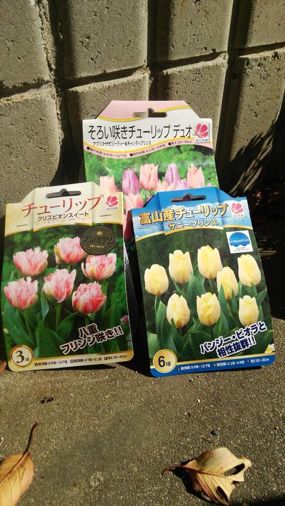 c0191390_1639796.jpg