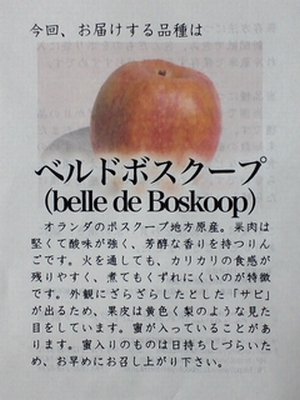 オランダ生まれの希少リンゴ_d0104892_20244014.jpg