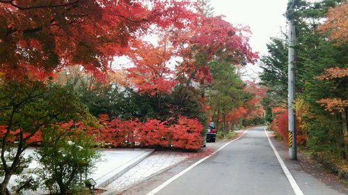 軽井沢ニューアートミュージアムに行きました。_e0119092_11184364.jpg