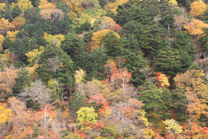 d0248502_20144866.jpg