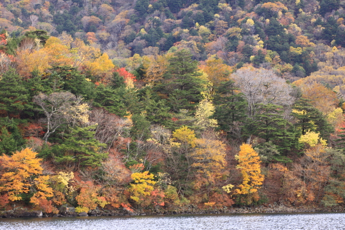 d0248502_20154780.jpg