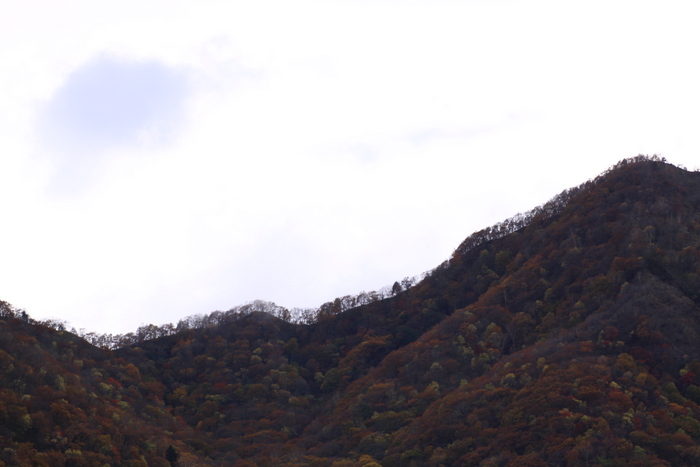 d0248502_20163111.jpg