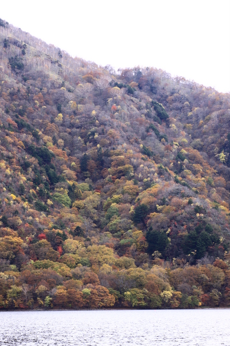 d0248502_20171794.jpg