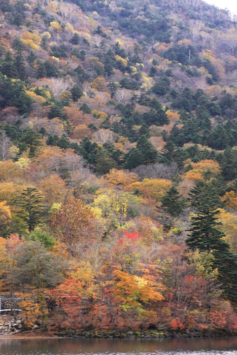d0248502_20211648.jpg