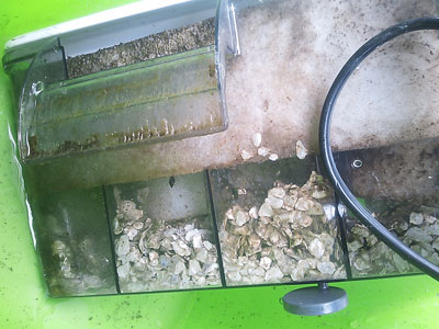 f0082402_21413116.jpg