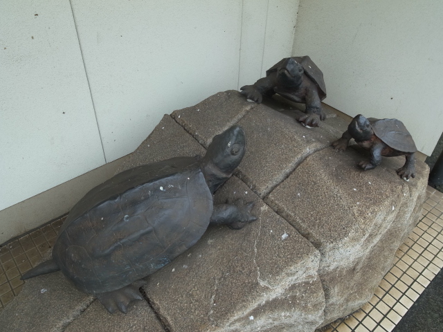 亀甲駅@岡山県久米郡美咲町_f0197703_11564039.jpg