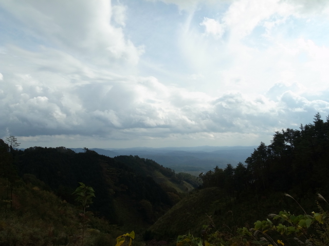 f0197703_16483025.jpg