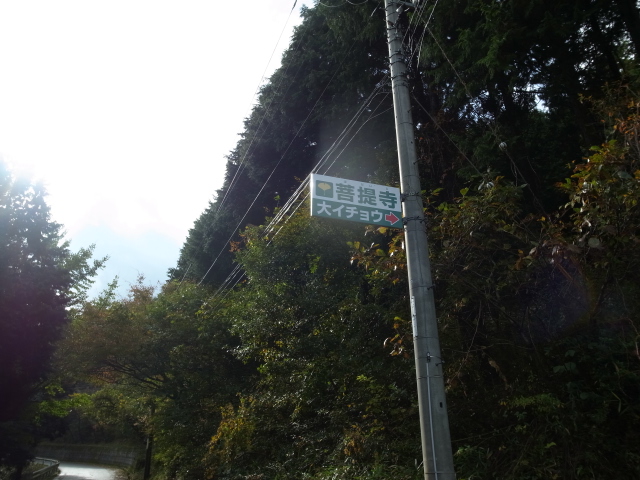 f0197703_1650991.jpg