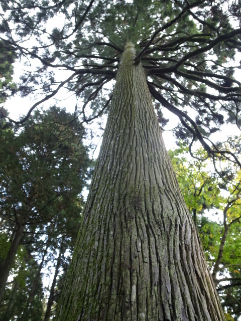 f0197703_16575155.jpg
