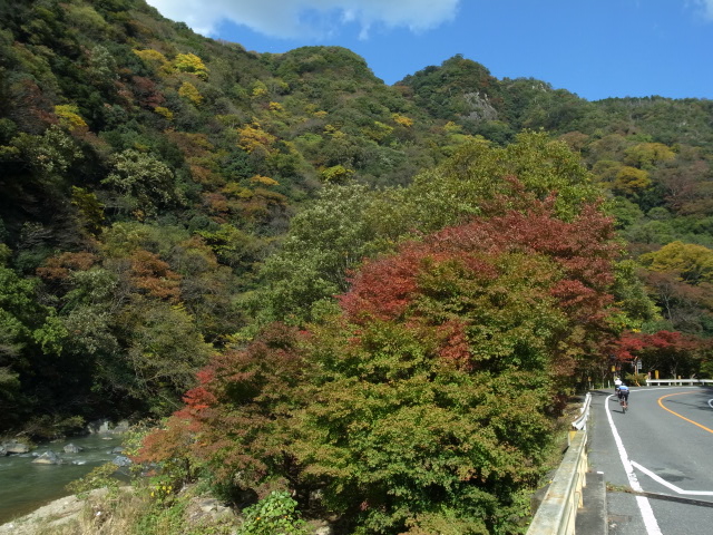 f0197703_1674979.jpg