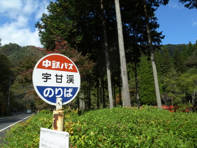 f0197703_1693353.jpg