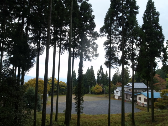 f0197703_1772385.jpg