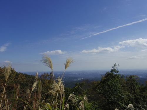 高尾山登山！！_e0123104_720543.jpg