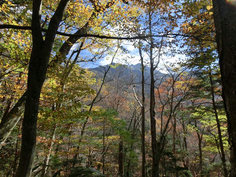 一の谷～ちち山～笹ヶ峰～南尾根　周遊_b0124306_20255561.jpg