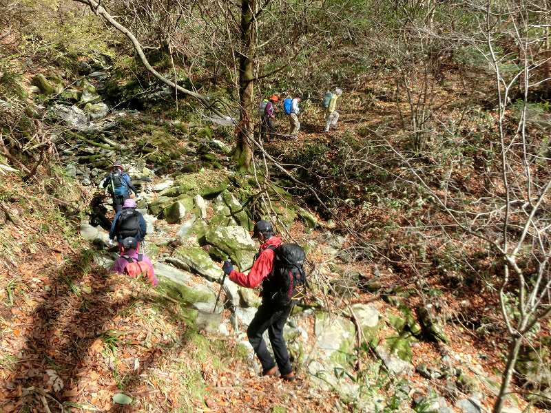 一の谷～ちち山～笹ヶ峰～南尾根　周遊_b0124306_20285687.jpg