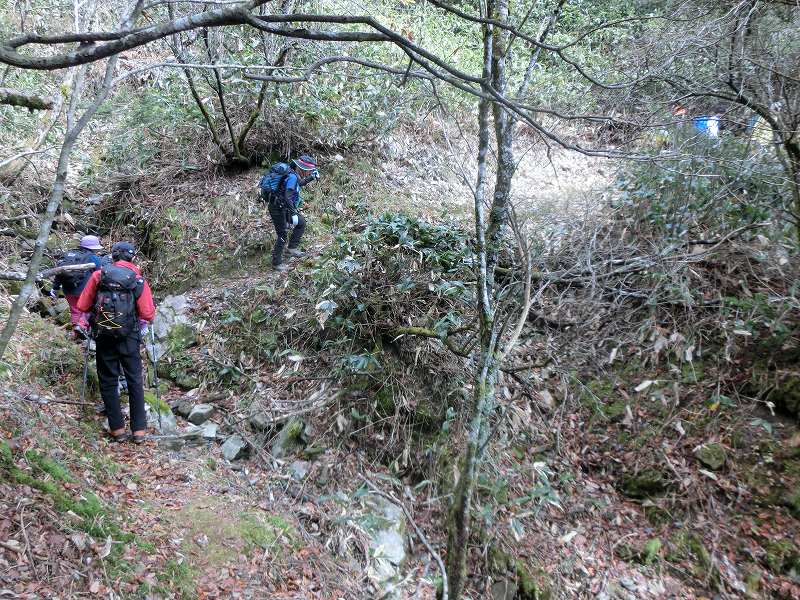 一の谷～ちち山～笹ヶ峰～南尾根　周遊_b0124306_20330019.jpg