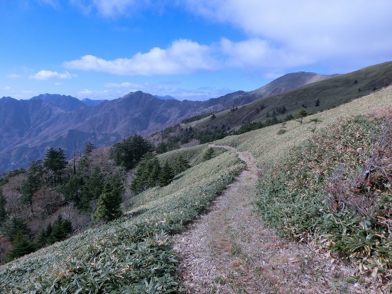 一の谷～ちち山～笹ヶ峰～南尾根　周遊_b0124306_20423765.jpg