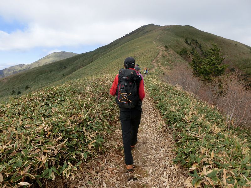 一の谷～ちち山～笹ヶ峰～南尾根　周遊_b0124306_20492214.jpg