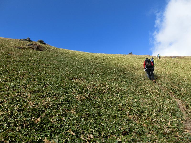 一の谷～ちち山～笹ヶ峰～南尾根　周遊_b0124306_23000887.jpg