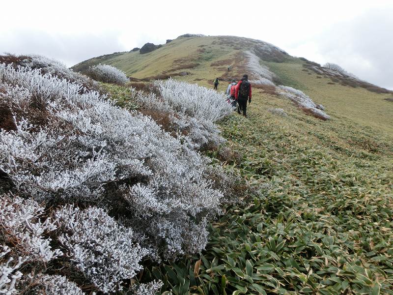 一の谷～ちち山～笹ヶ峰～南尾根　周遊_b0124306_23231081.jpg