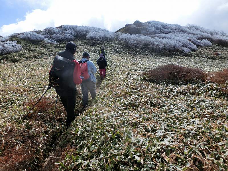 一の谷～ちち山～笹ヶ峰～南尾根　周遊_b0124306_23235008.jpg