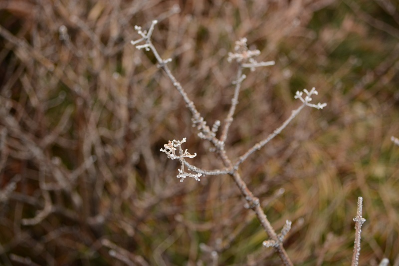 b0277008_11121354.jpg