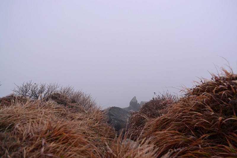 b0277008_1132465.jpg