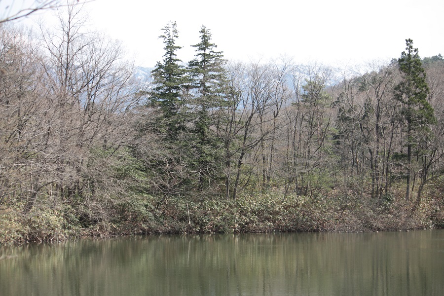 d0001008_21413231.jpg