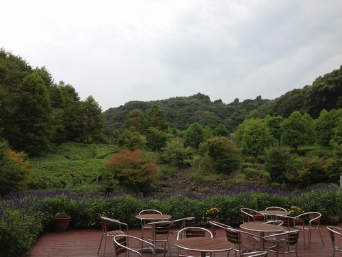 f0221708_11441878.jpg