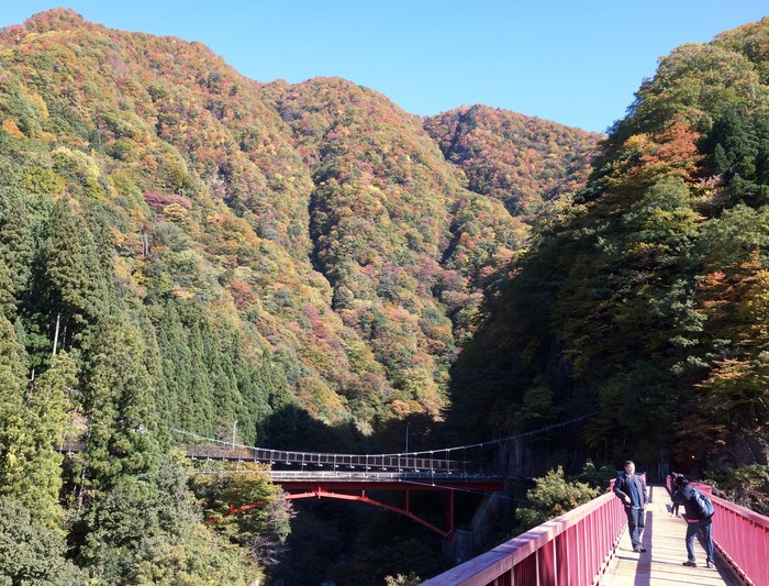紅葉の黒部渓谷_d0116009_923798.jpg
