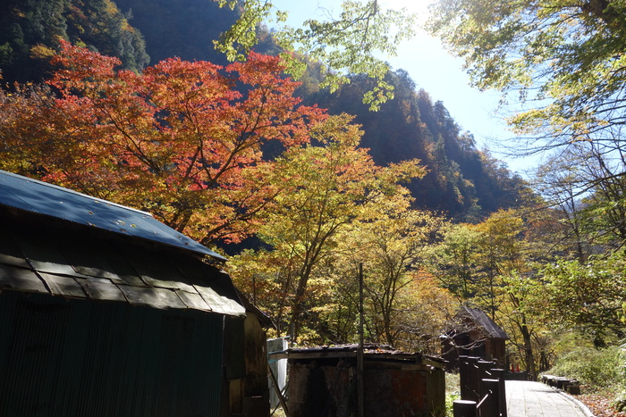 紅葉の黒部渓谷_d0116009_955785.jpg