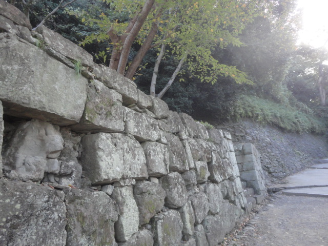 f0231709_8343486.jpg