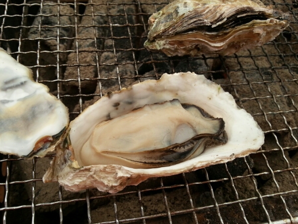 f0215410_13434253.jpg