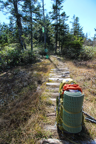 b0244811_22103347.jpg