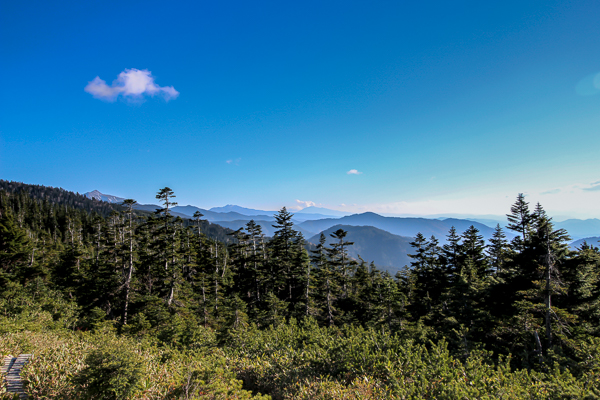 b0244811_22225363.jpg