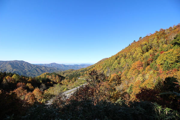 b0244811_2283384.jpg