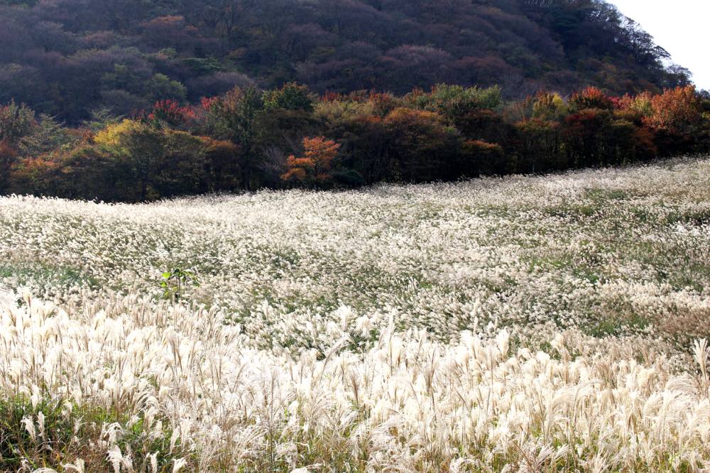 英彦山の紅葉は・・_f0212511_2143289.jpg