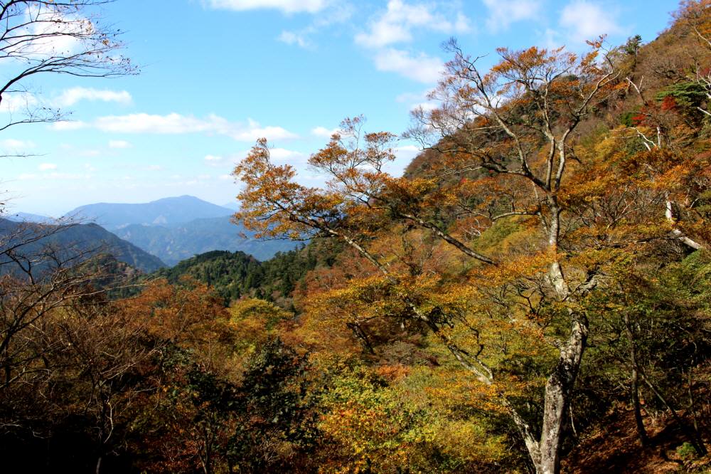f0212511_21442811.jpg