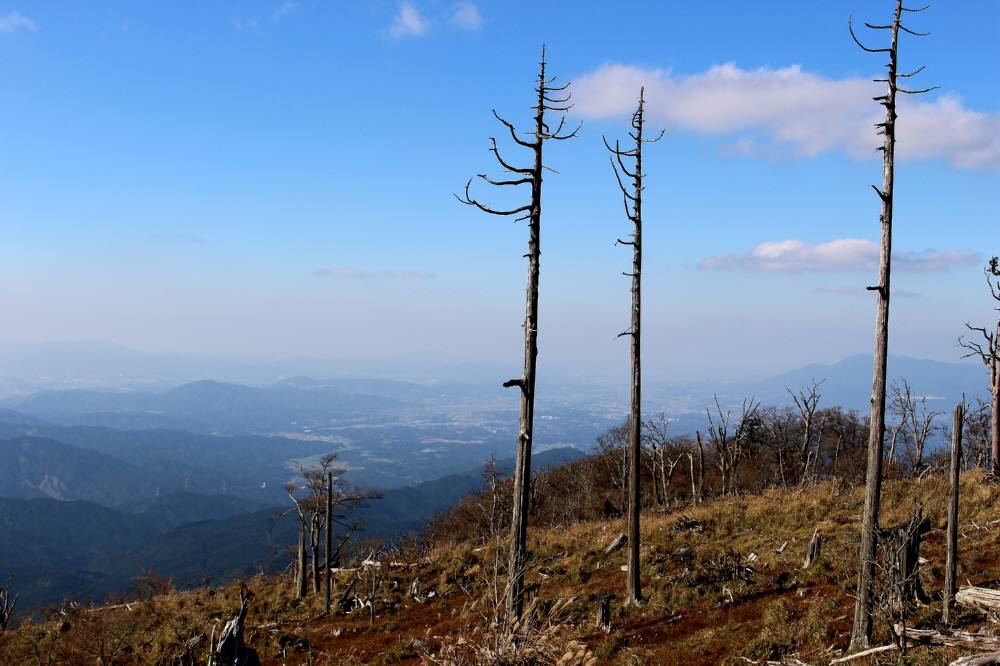 英彦山の紅葉は・・_f0212511_21452936.jpg